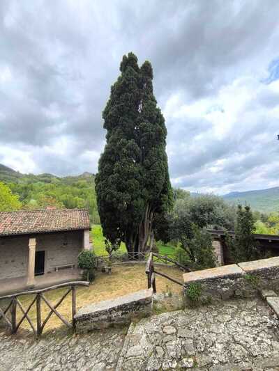 Ristorante da Rotilio foto