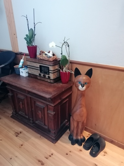 photo de Zur Traube Rostock - Restaurant " Zur Traube "