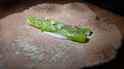 photo de muto Restaurant