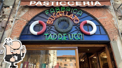 Buccellato Taddeucci foto