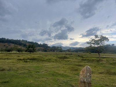 Pesqueiro pais e filhos foto