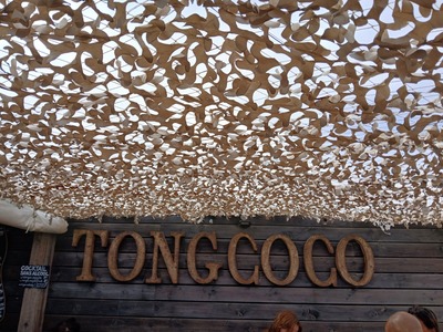 photo de Tongcoco