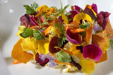 Ristorante Cavallino foto