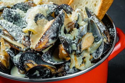 photo de Mollusca