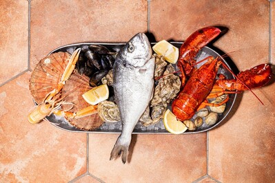 photo de Pesca Rotterdam