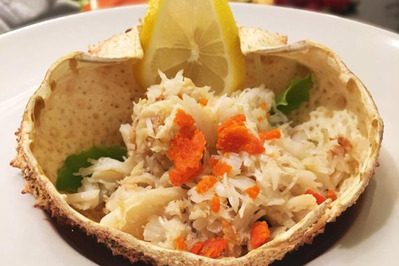 Ristorante Zafferano foto