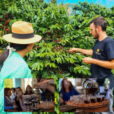 Zandonade Cafés Especiais