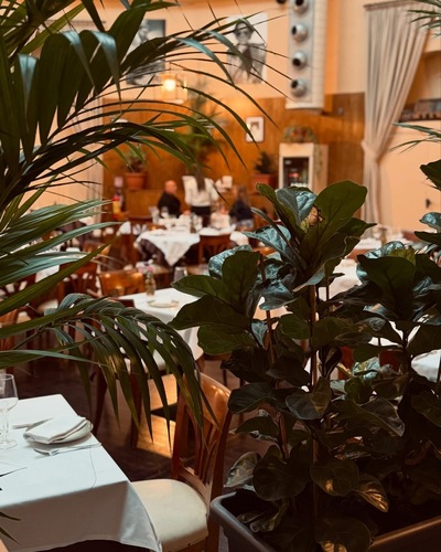Ristorante IL VOLO Steakhouse foto