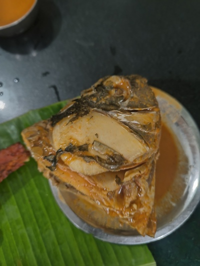 Mamatha Hotel photo