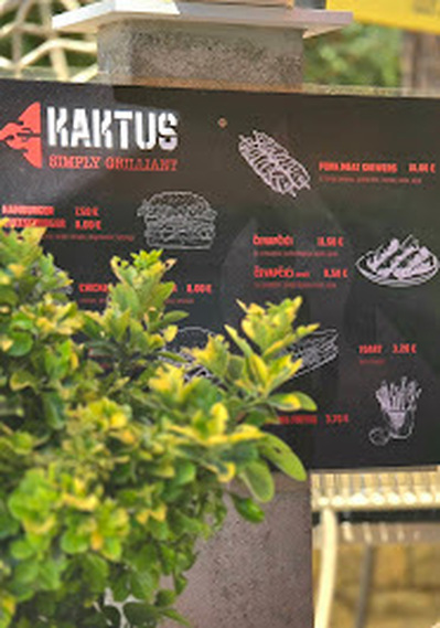Kaktus Cikat foto