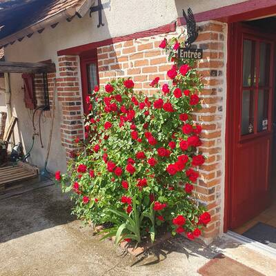 photo de Auberge Le Col Vert