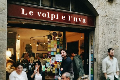 Le Volpi e l'Uva foto