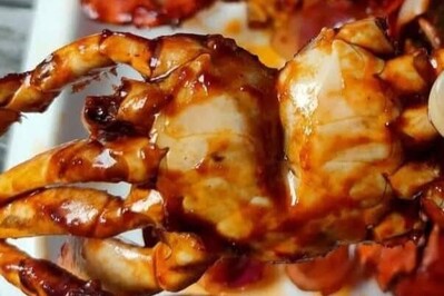 Ocean Grill photo