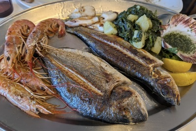 Pirat Piran foto