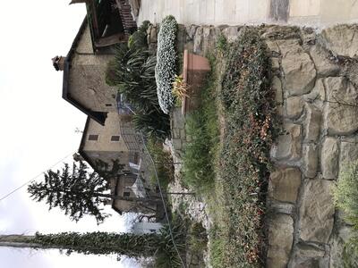 Agriturismo Beneverchio foto