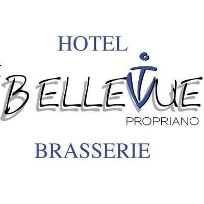 Hotel Bellevue 14 cbre 13 av Napoléon 3 CV