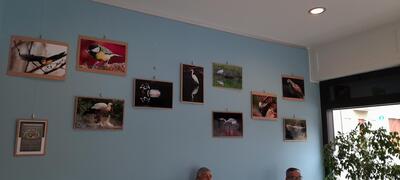 Caffè Vi foto