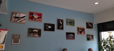Caffè Vi foto