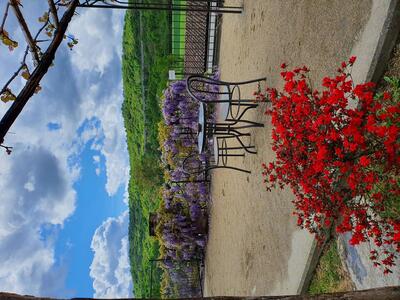 Agriturismo Il Casale Veneria foto