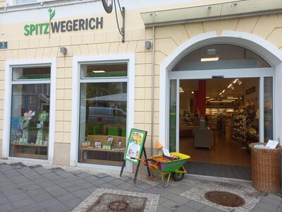 Spitzwegerich - Bio-Fachgeschäft