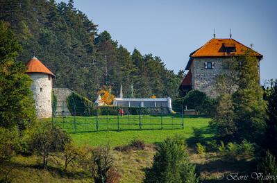 Gostinstvo Pavus Marko Pavčnik s.p.