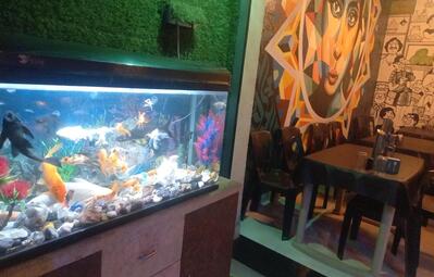 Bawarchi Family Restaurant photo