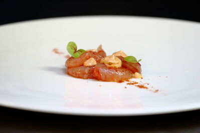 Il Gatto sull'Albicocco