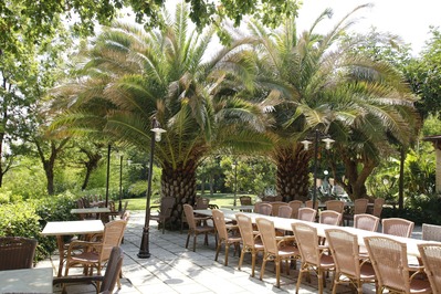 Agriturismo Rossoconero foto