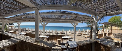 Tropicana Club