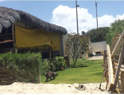 Barraca Beach Pádua foto