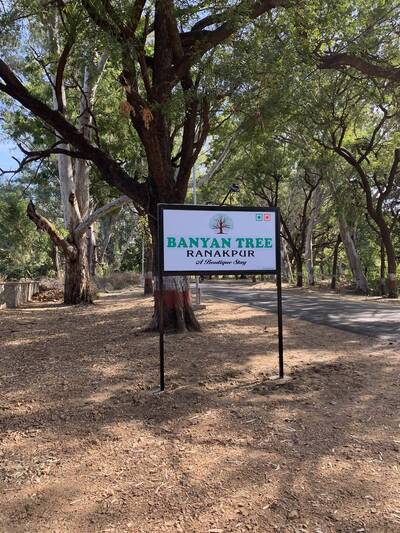 Banyan Tree Resort photo