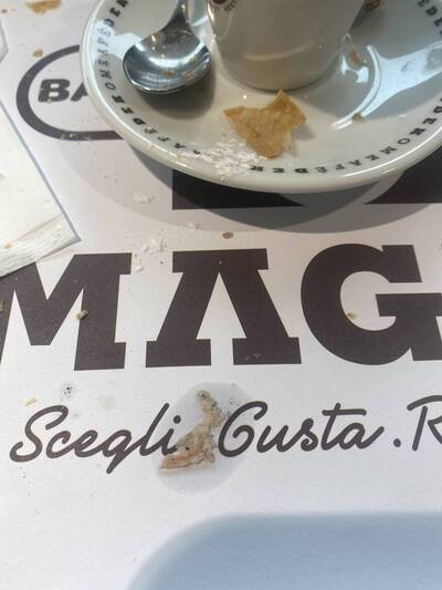 Magno foto