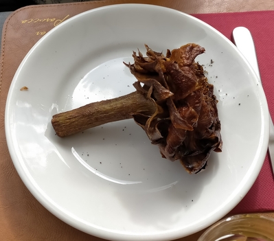 dar Parucca foto