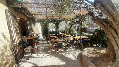 photo de La Treille de l'Abbé