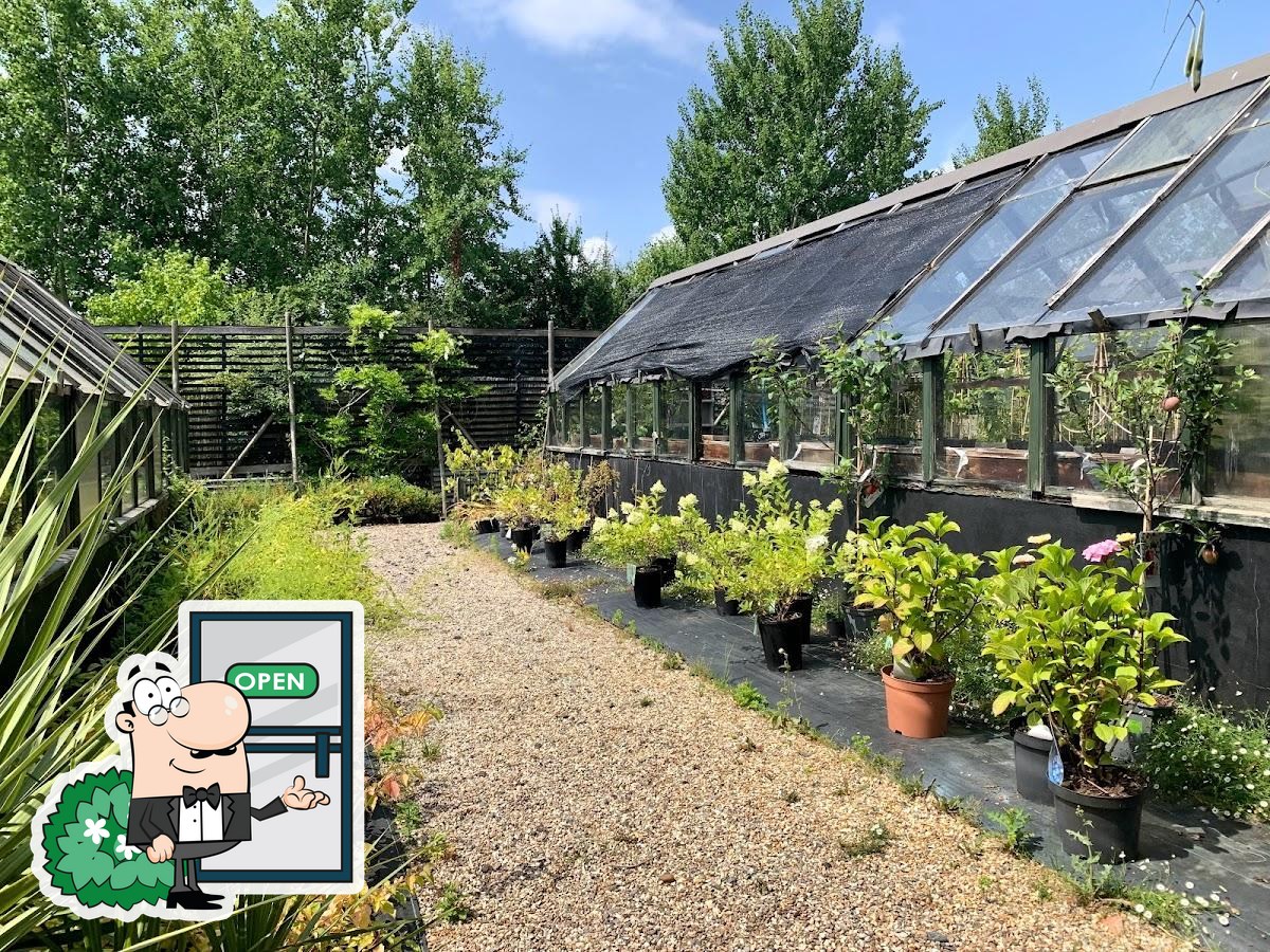 White’s Garden Nursery and Tea Rooms in Mayfield Restaurant reviews
