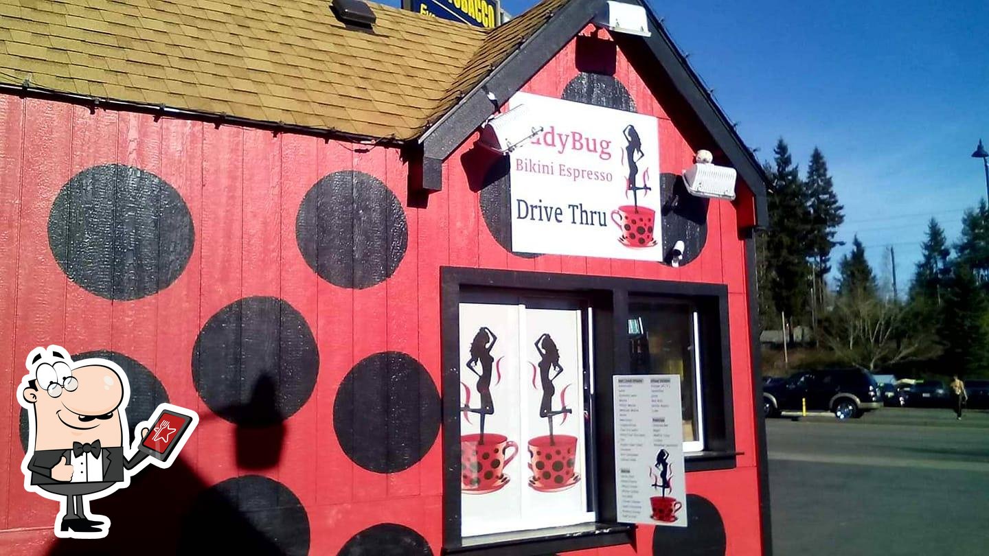 Ladybug Bikini Espresso 1941 Marine View Dr In Tacoma Restaurant