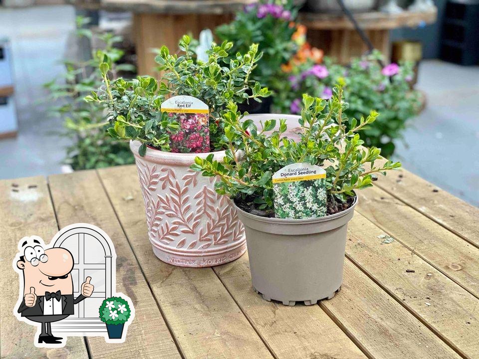 Roots & Shoots Garden Centre, Stowmarket Road, Badley in Needham Market Restaurant reviews