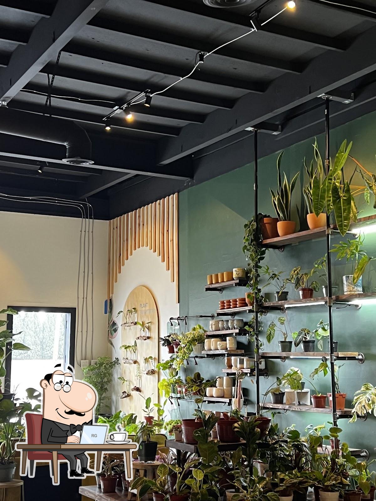 Houseplant Nation - Plants & Coffee Shop in Huntington Beach ...