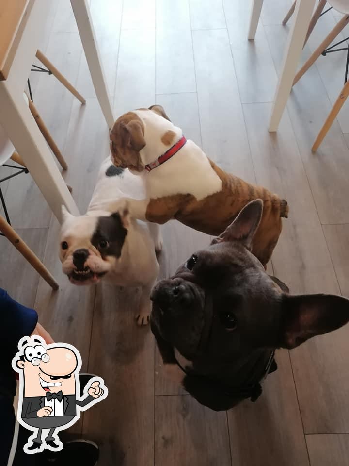 barking bistro