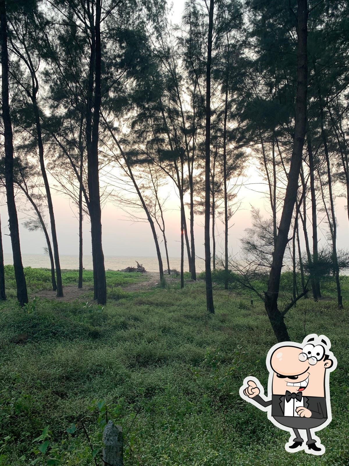 Photo from Google