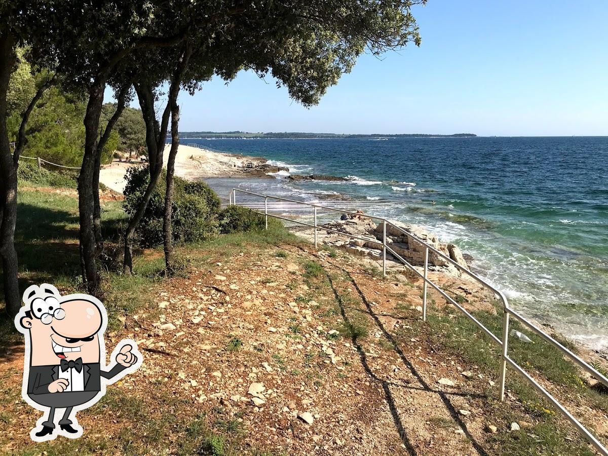 Foto di Google