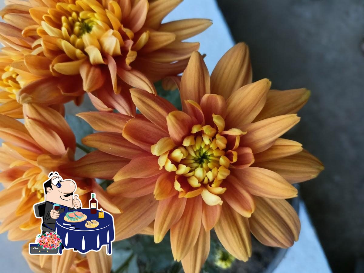 Photo from Google