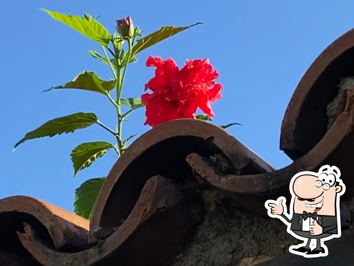 Foto do Google