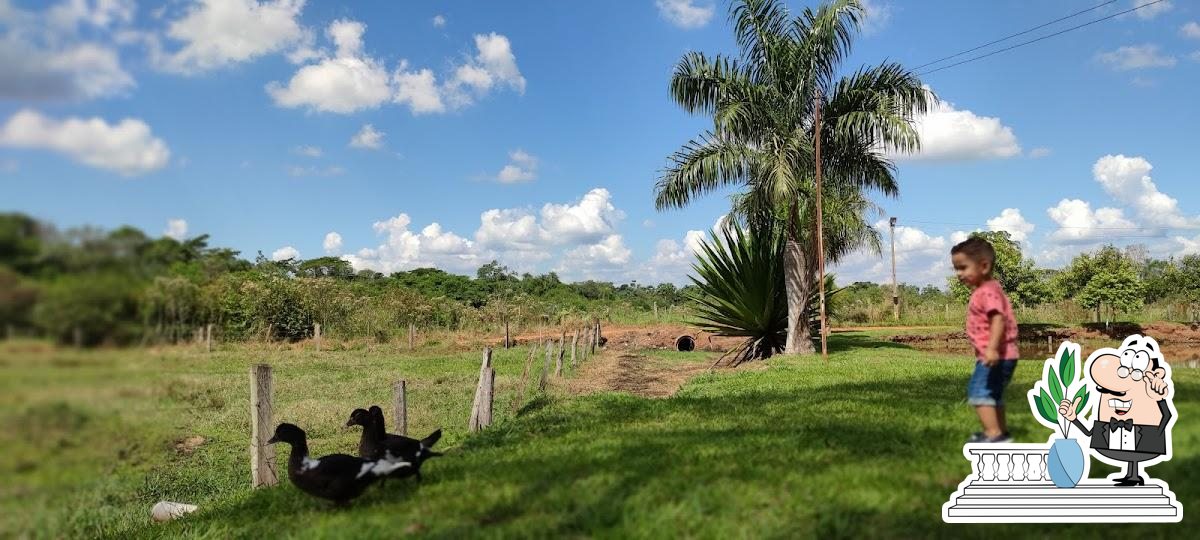 Foto do Google