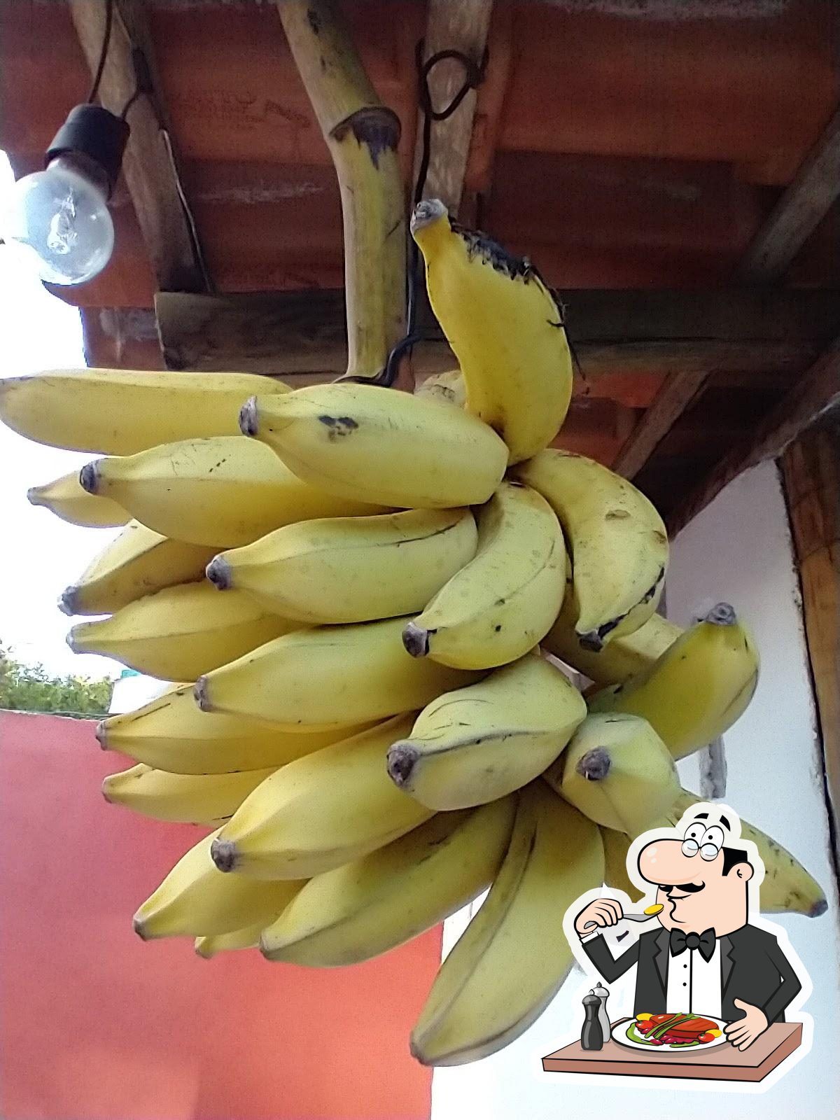 Foto do Google