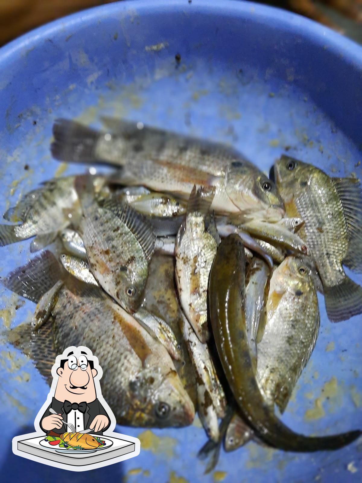 Photo from Google