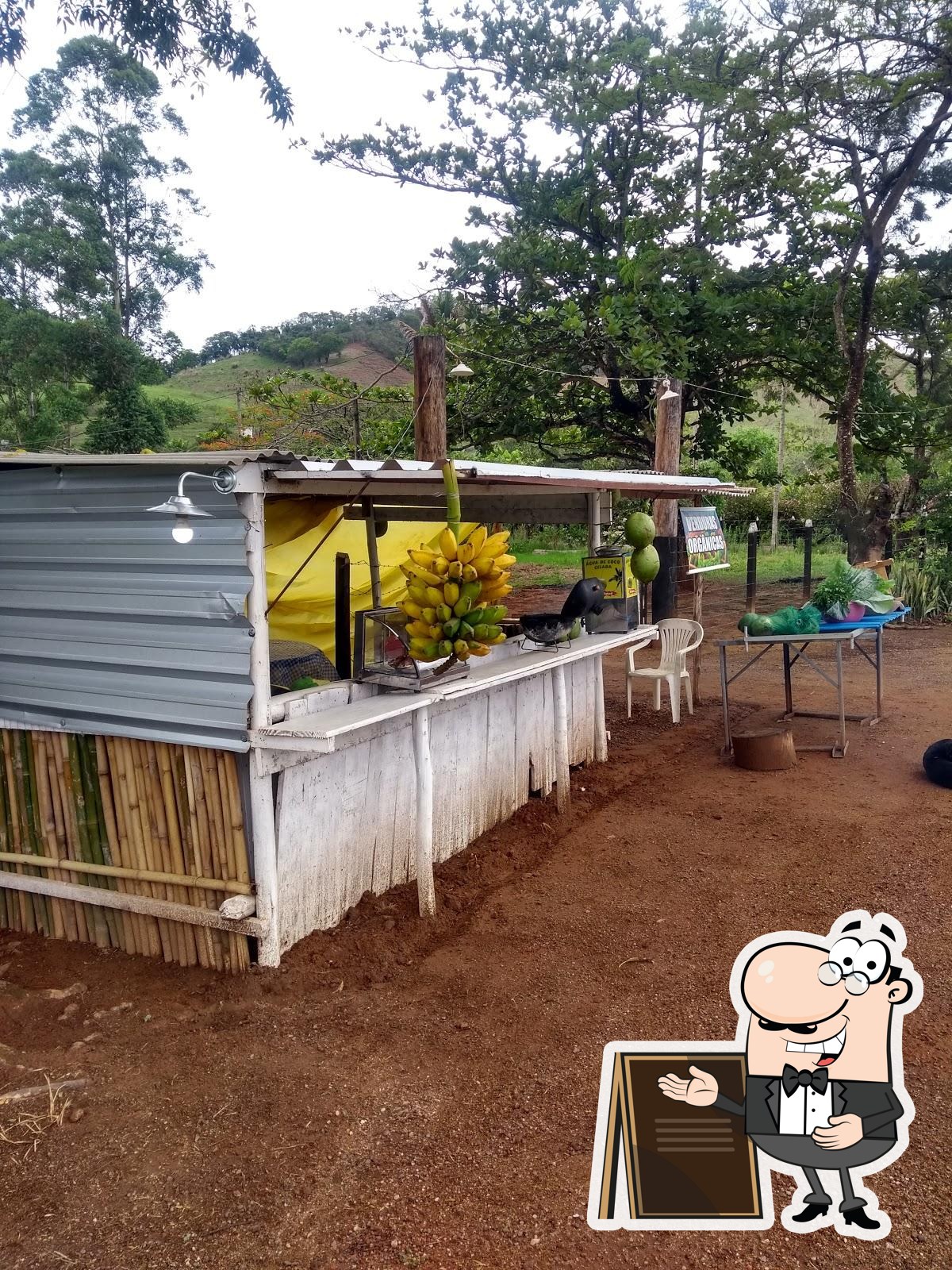 Foto do Google