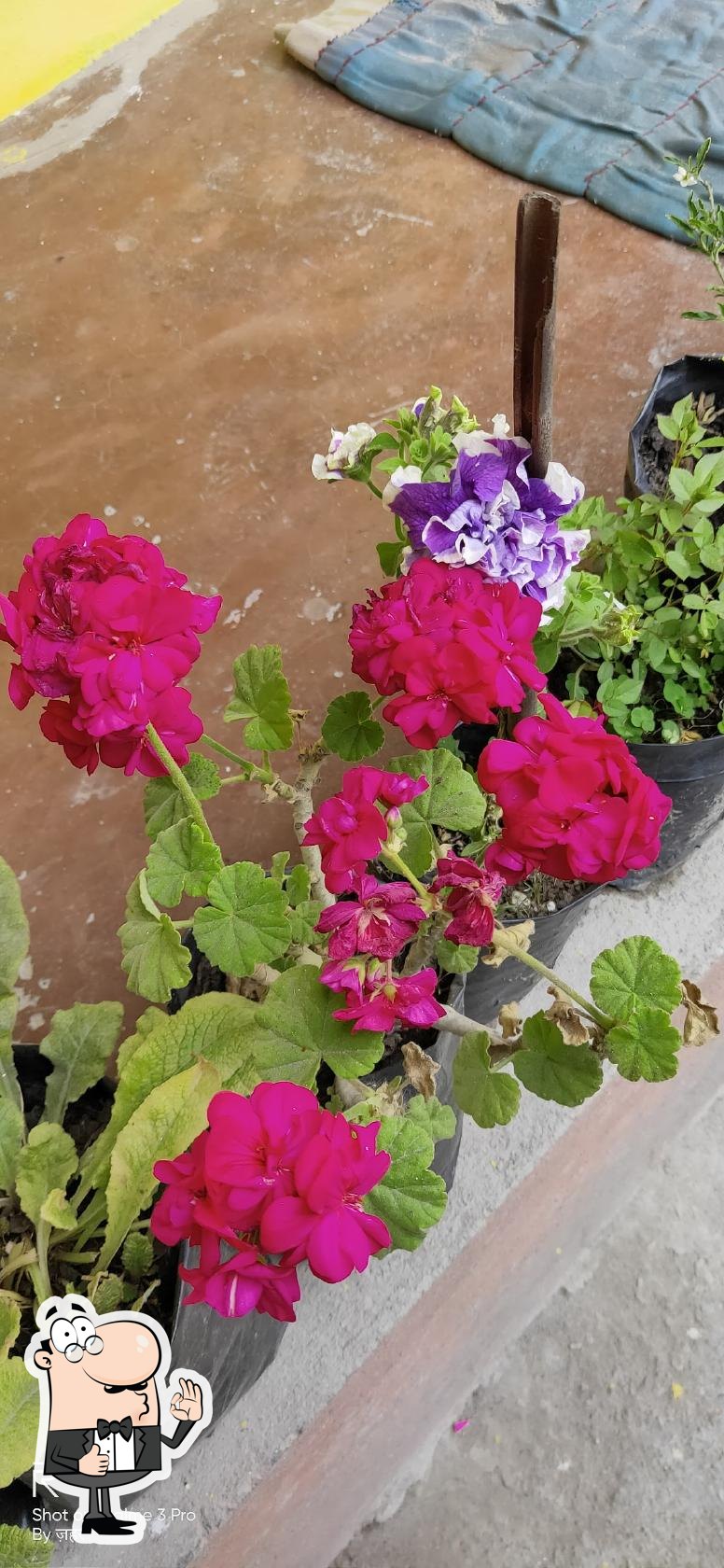 Photo from Google