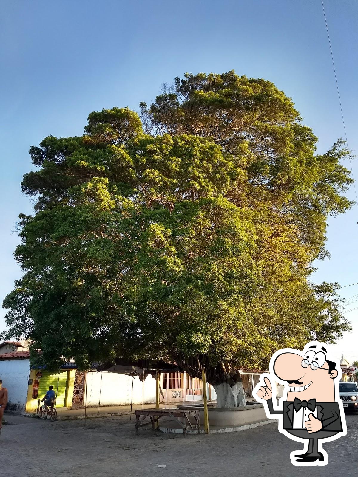 Foto do Google