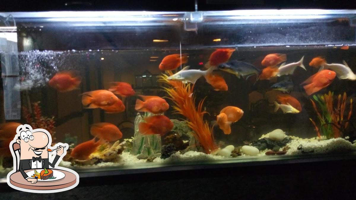 Photo from Google